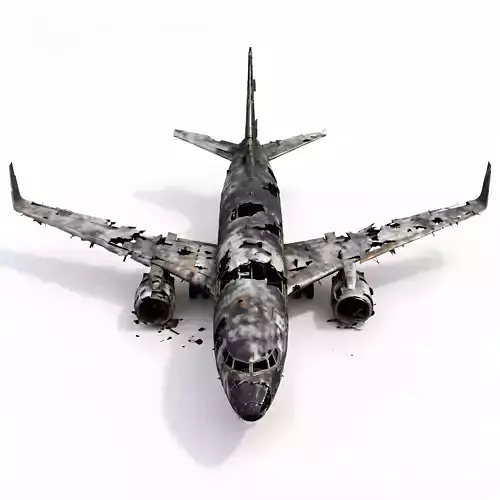Commercial Airliner Wreck 3D Model