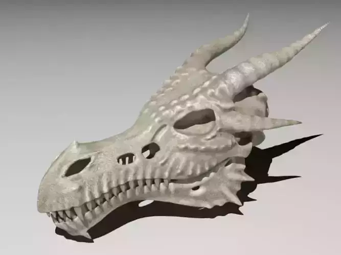 Dragon Skull