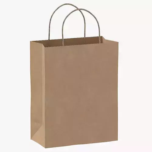 Recycled Paper Bags 01 06 3D model