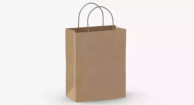Recycled Paper Bags 01 06 3D model 6