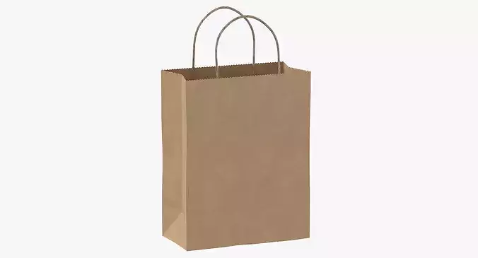 Recycled Paper Bags 01 06 3D model 5