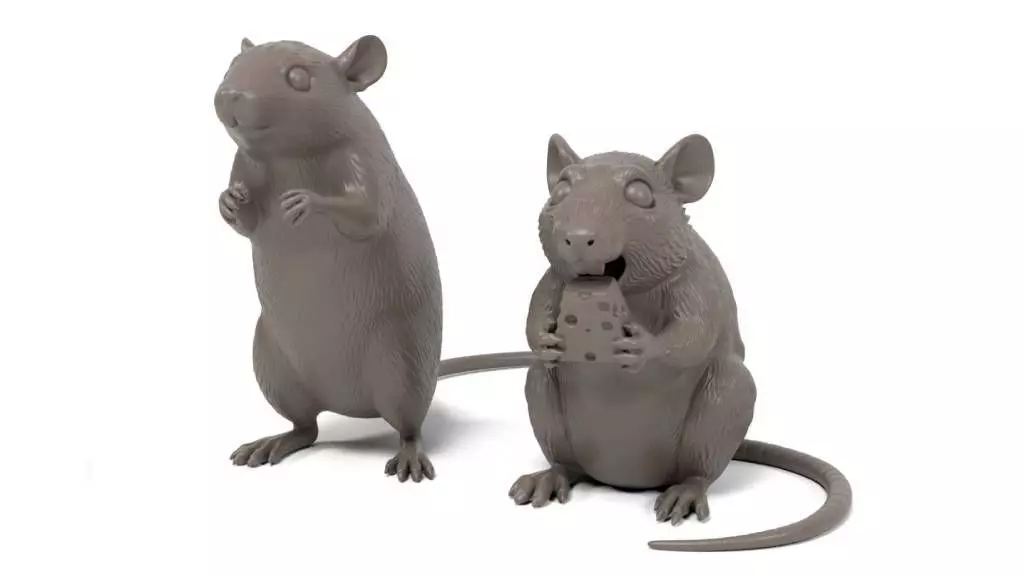 Rats figurines 3D print model