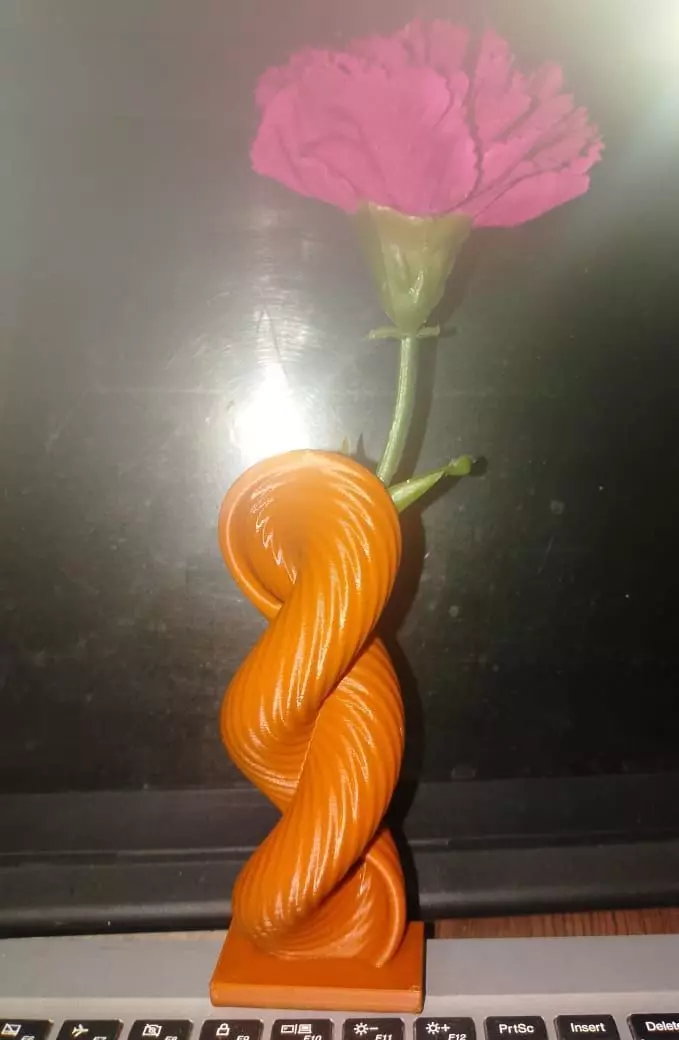 Modern Spiral Vase 3D print model