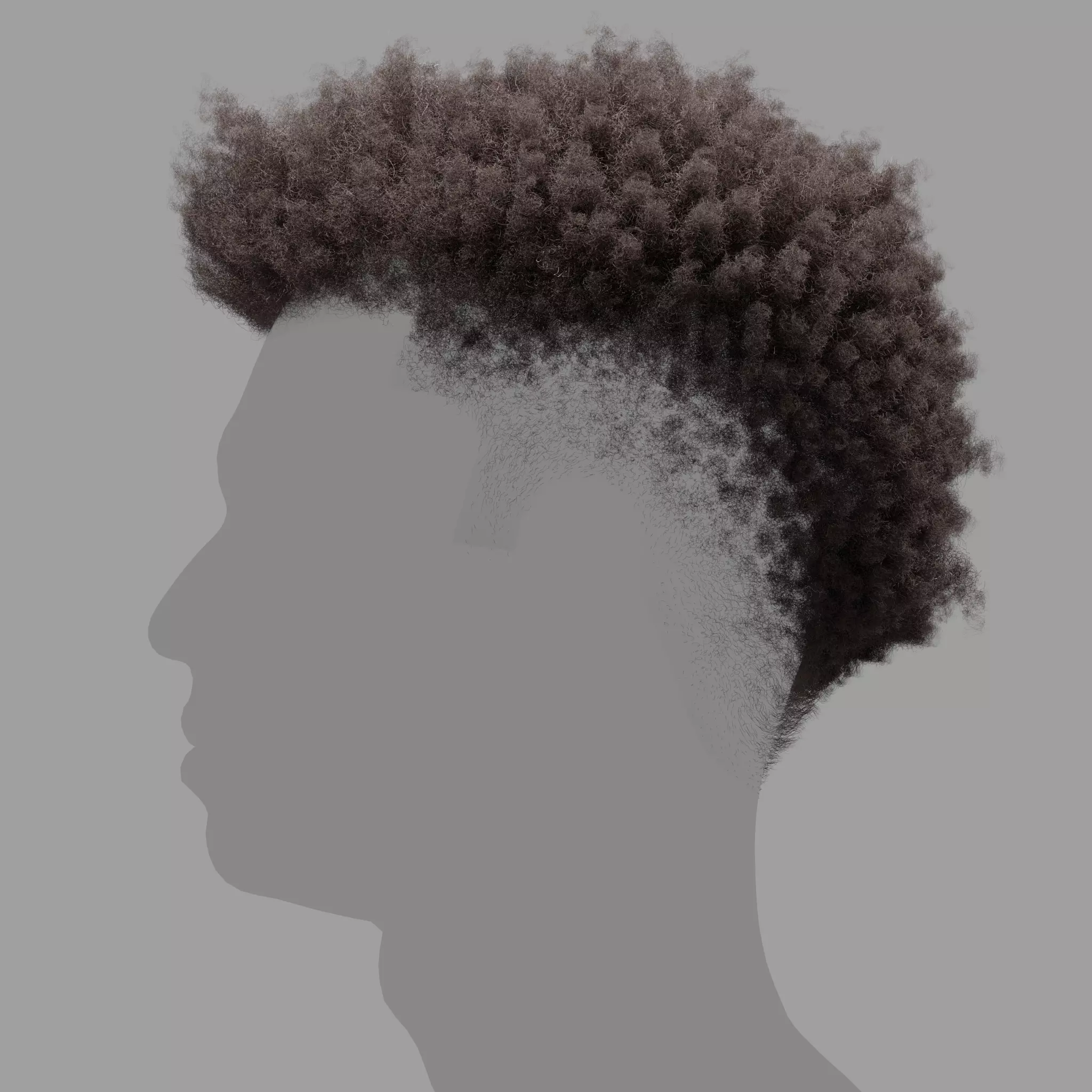 Natural Afro for Male XGen maya scene and alembic FBX 3D model 3D model