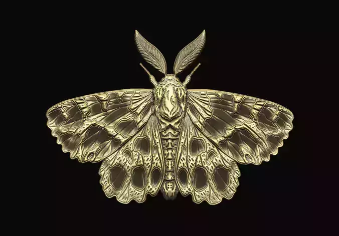 Moth dark-aesthetic macabre wall-art coin-design medallion