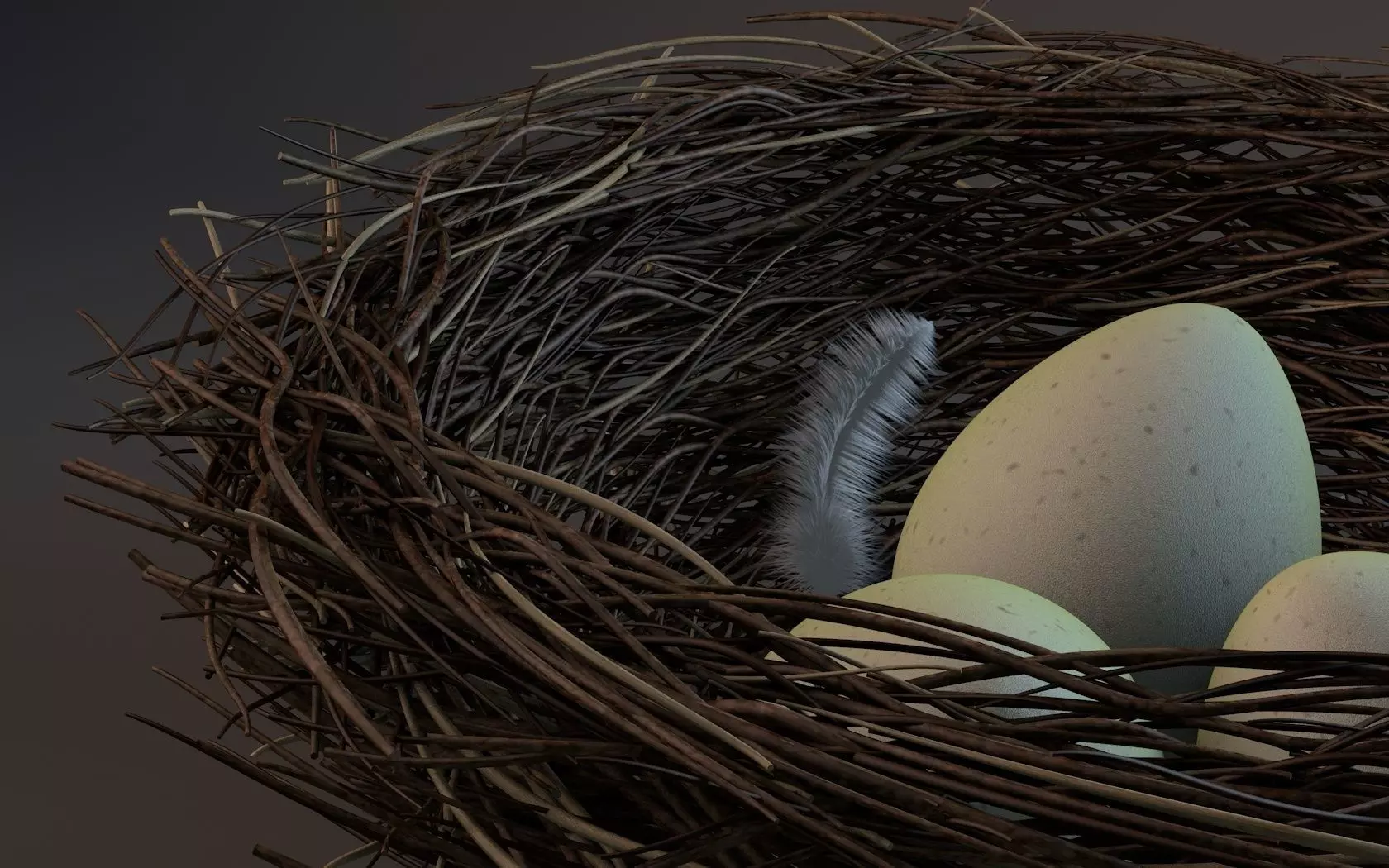 Bird nest 3D model | CGTrader