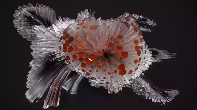 Shell Nerve Crystals 66