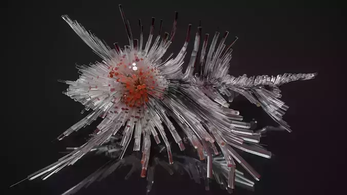 Shell Nerve Crystals 65