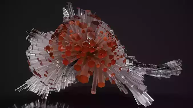 Shell Nerve Crystals 62