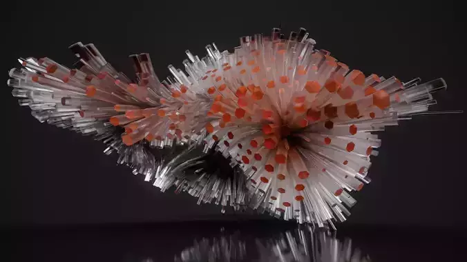Shell Nerve Crystals 60