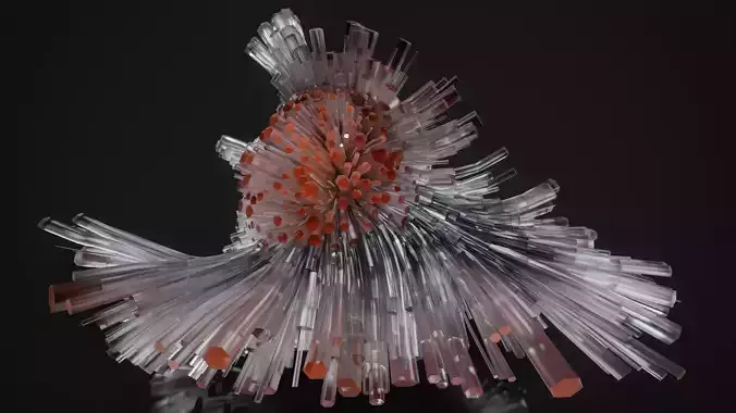 Shell Nerve Crystals 58