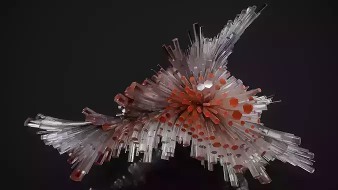 Shell Nerve Crystals 56