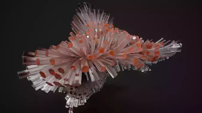Shell Nerve Crystals 55