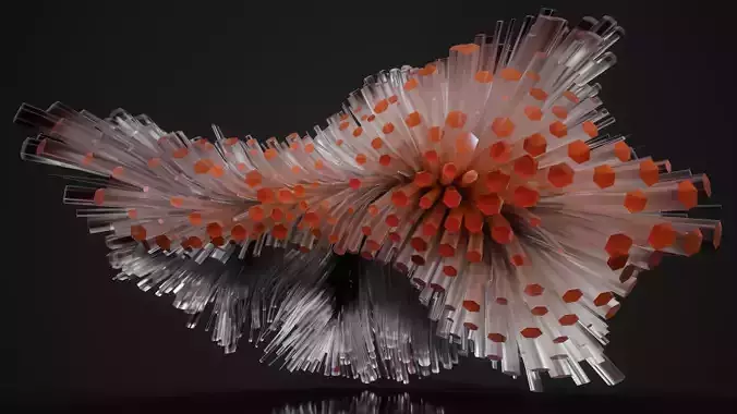 Shell Nerve Crystals 54