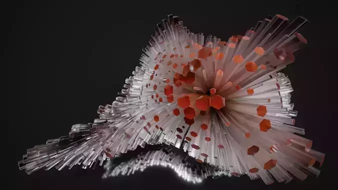 Shell Nerve Crystals 53