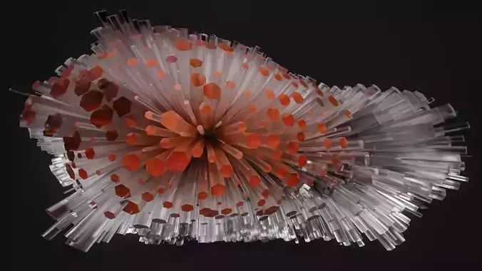 Shell Nerve Crystals 48