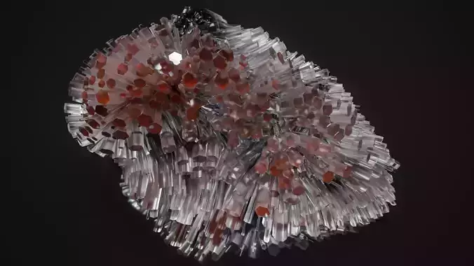 Shell Nerve Crystals 47