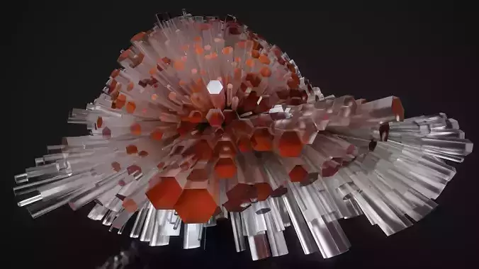 Shell Nerve Crystals 31