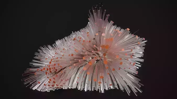 Shell Nerve Crystals 28