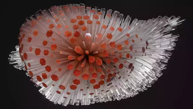Shell Nerve Crystals 26