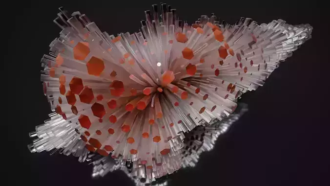 Shell Nerve Crystals 25