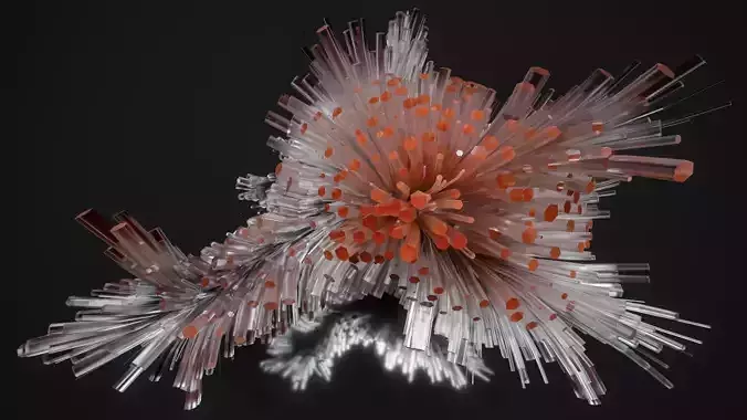 Shell Nerve Crystals 24