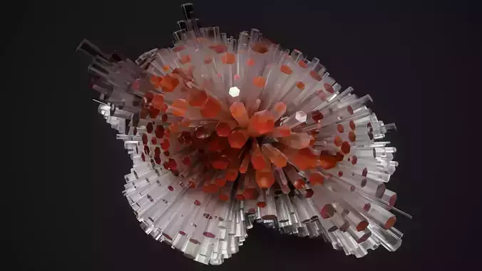 Shell Nerve Crystals 20