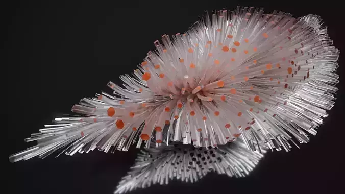 Shell Nerve Crystals 2