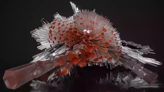 Shell Nerve Crystals 18