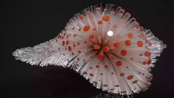 Shell Nerve Crystals 16
