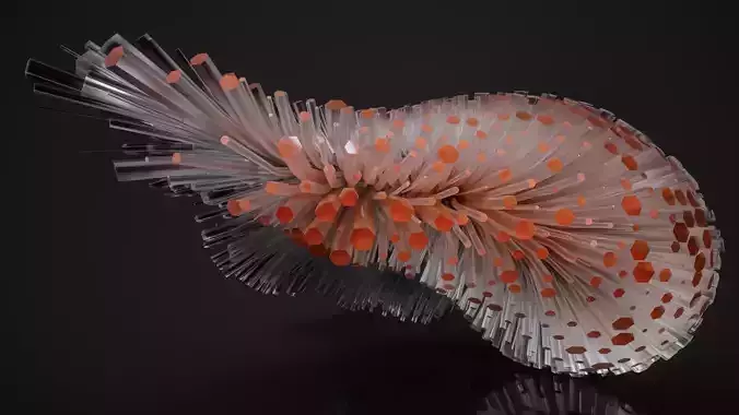 Shell Nerve Crystals 14