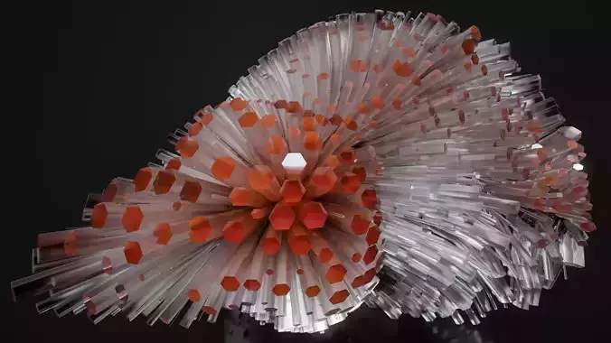Shell Nerve Crystals 13