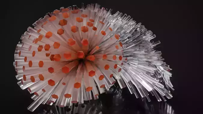 Shell Nerve Crystals 10