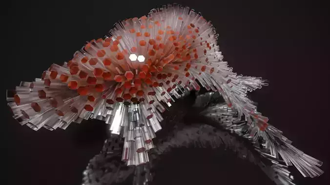 Shell Nerve Crystals 1