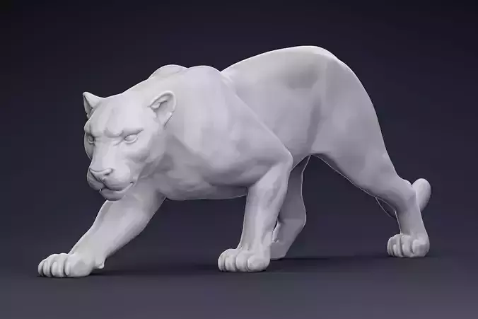 Muscular Panther