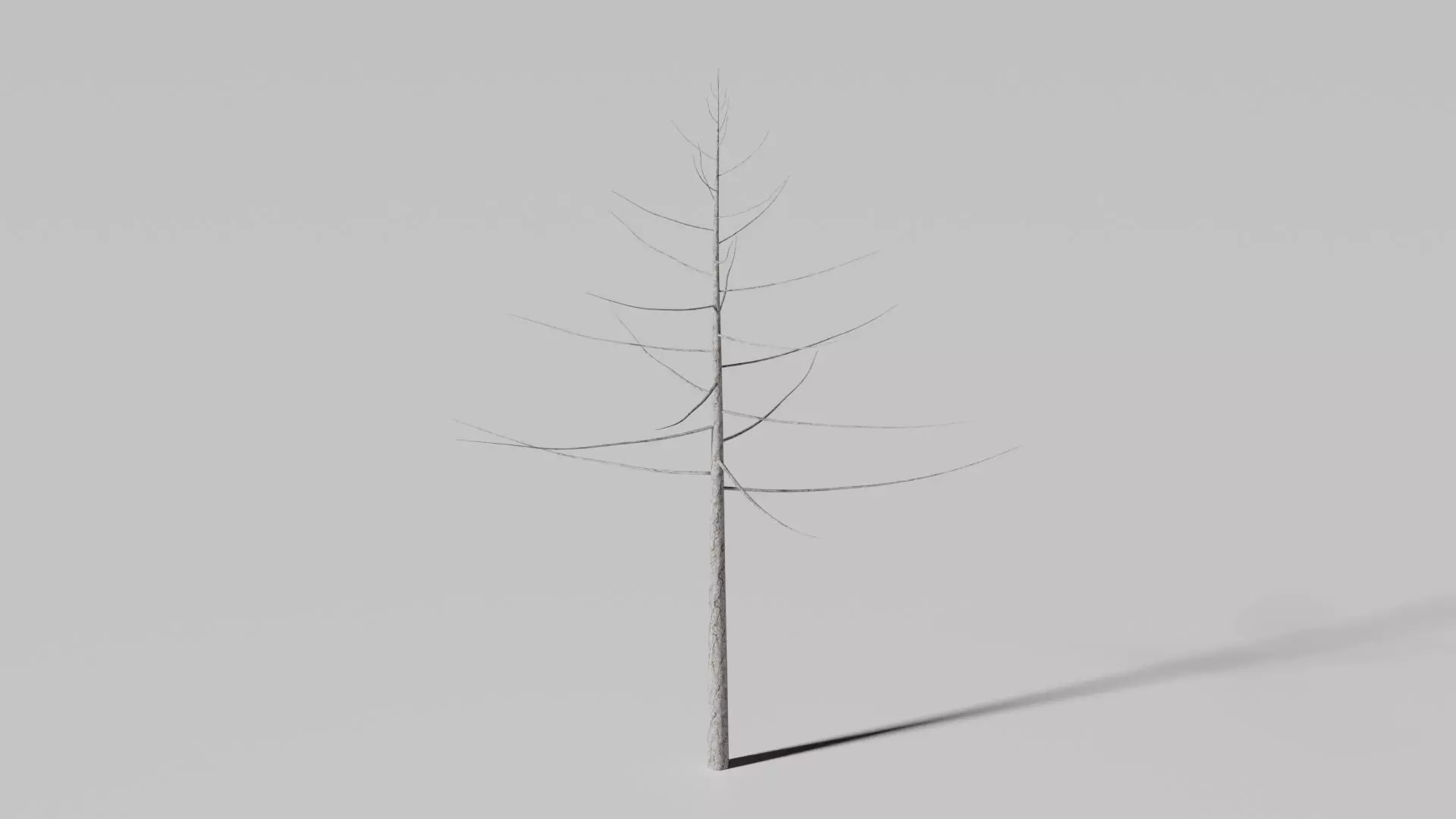 Snow Tree Free 3D model