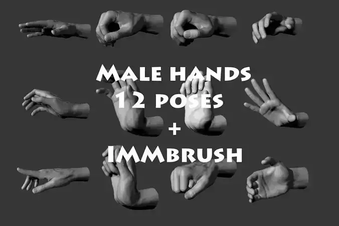 Male hands 12 poses 3D model Male hands 12 poses 3D model
