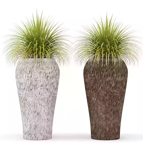 Potted plants 10 3D model