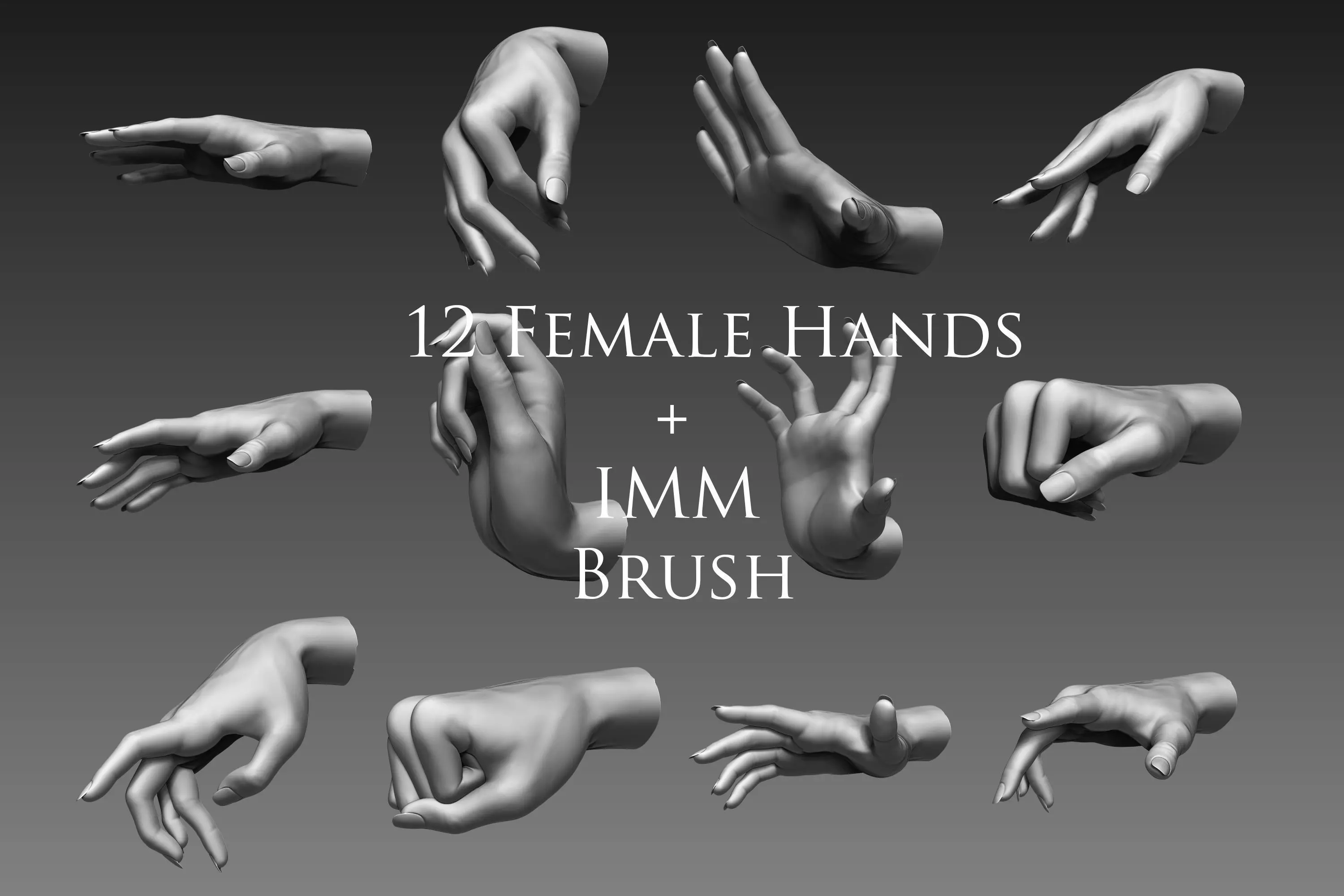 12 Female Hands 3D model