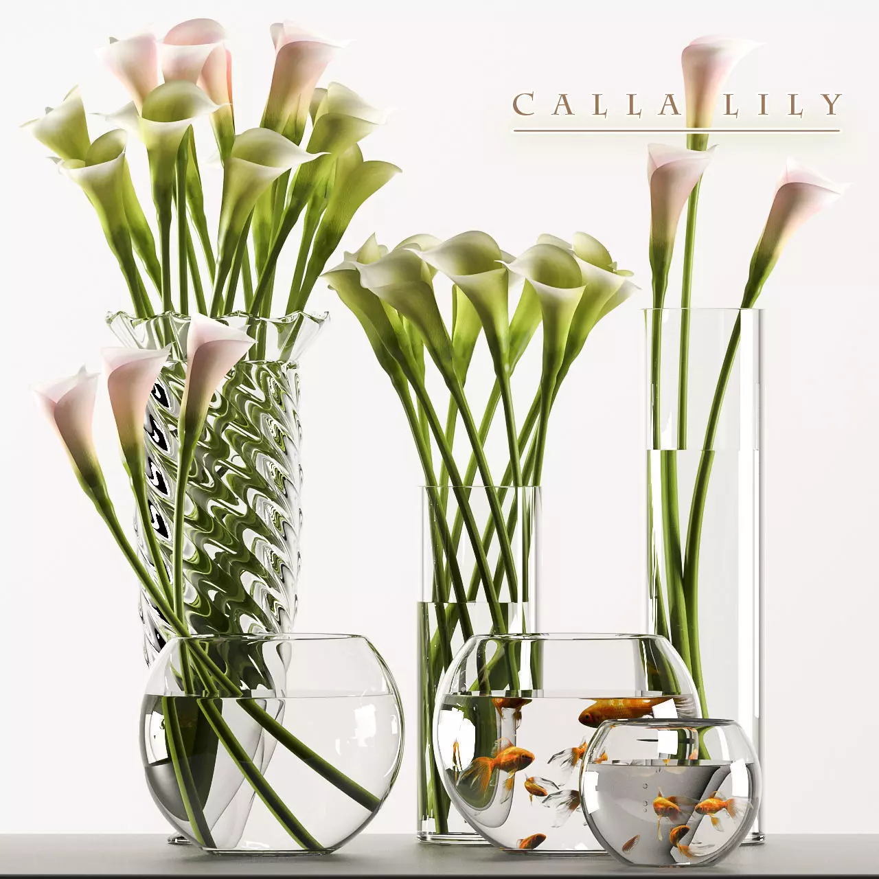 callalilly 3 calla lilies in glass vases 3D model_0