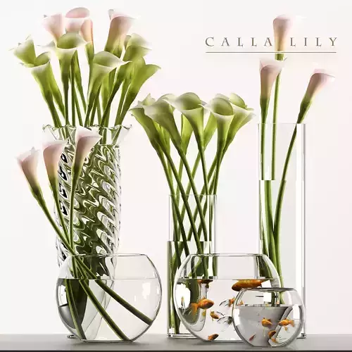 callalilly 3 calla lilies in glass vases