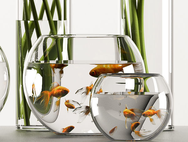 callalilly 3 calla lilies in glass vases 3D model_4