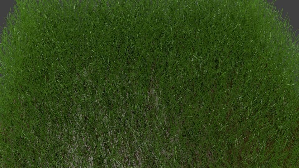 realistic grass square of Low-poly 3D model_1