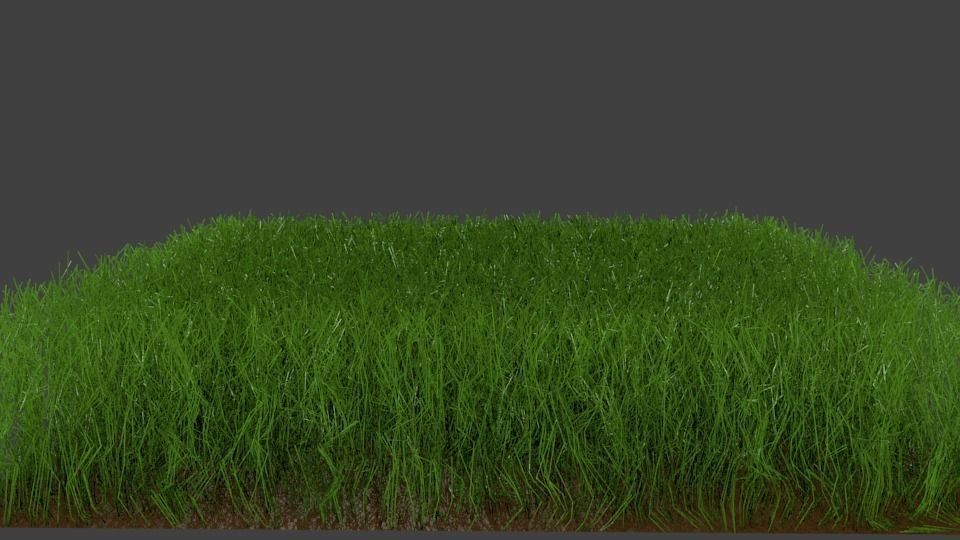 realistic grass square of Low-poly 3D model_0