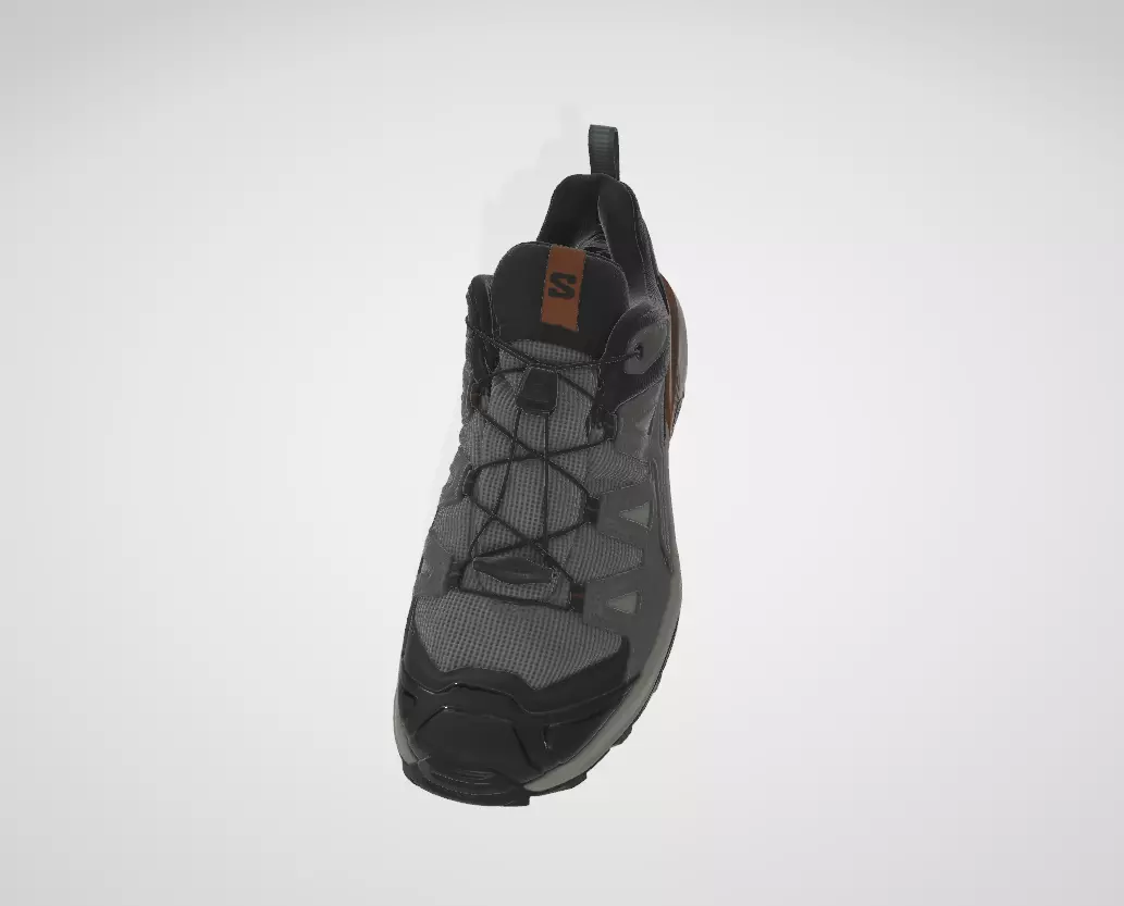 Salomon X Ultra 360 Leather GoreTex Low-poly 3D model