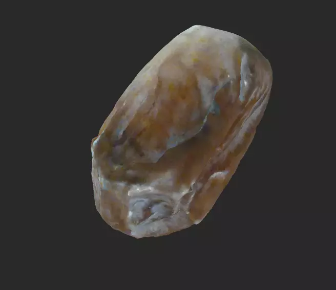 Date Zahidi 3D model