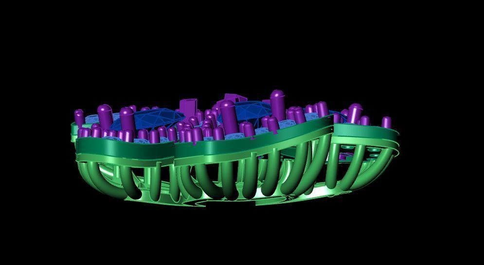 Tiffany 4 Leaf Clover Necklace 3D print model_4