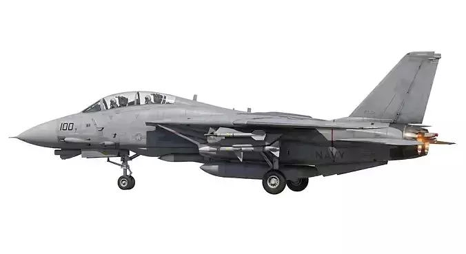 F-14 Tomcat Fighter Jet Modern Military Aircraft STL Model
