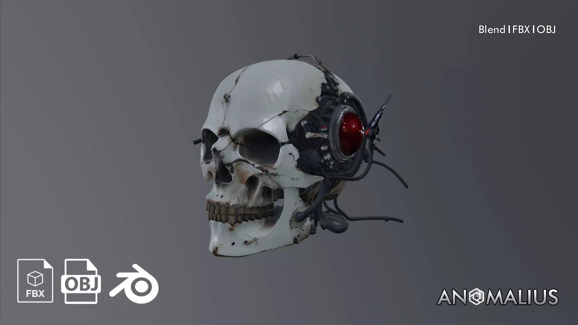 cyborg skull 3D model