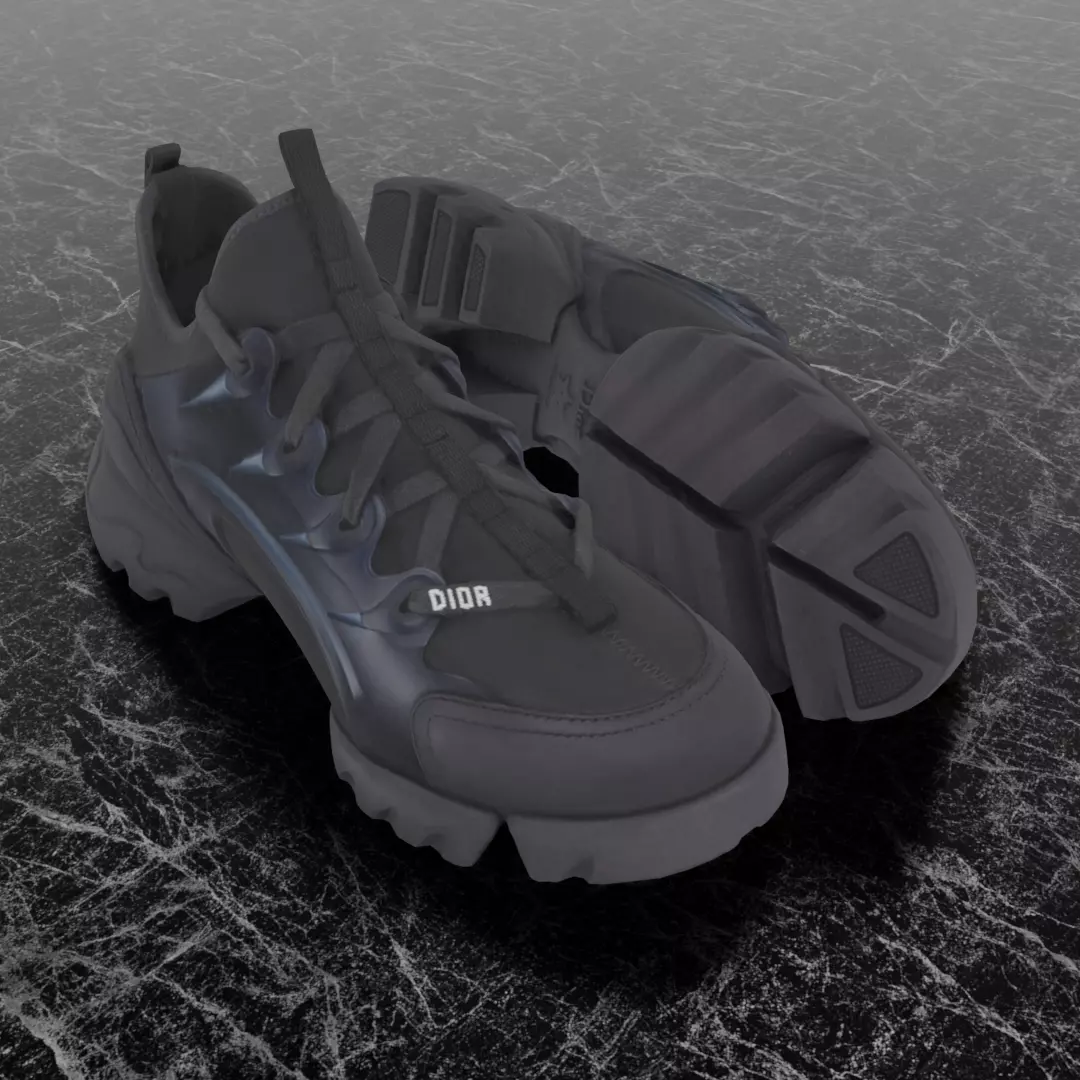 CHRISTIAN DIOR D-CONNECT 3D SHOES Low-poly 3D model